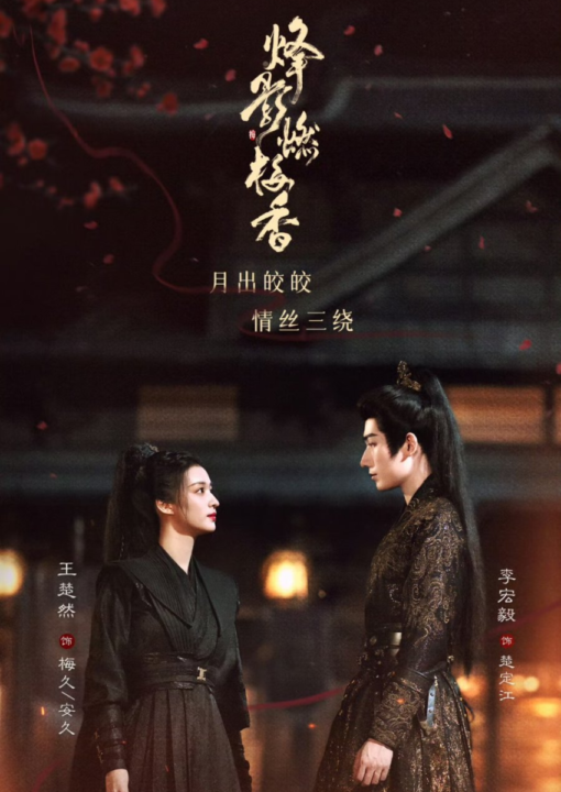 สตรียอดสายลับ (Hidden Shadow) นำแสดงโดย หวังฉู่หรานและหลี่หงอี้